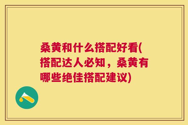 桑黄和什么搭配好看(搭配达人必知，桑黄有哪些绝佳搭配建议)