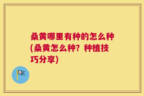 桑黄哪里有种的怎么种(桑黄怎么种?种植技巧分享) 桑黄哪里有种的怎么种(桑黄怎么种?种植技巧分享)