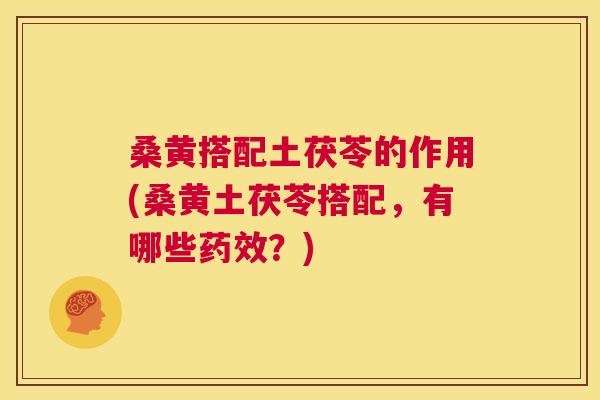 桑黄搭配土茯苓的作用(桑黄土茯苓搭配,有哪些?) 桑黄搭配土茯苓的作用(桑黄土茯苓搭配,有哪些?)