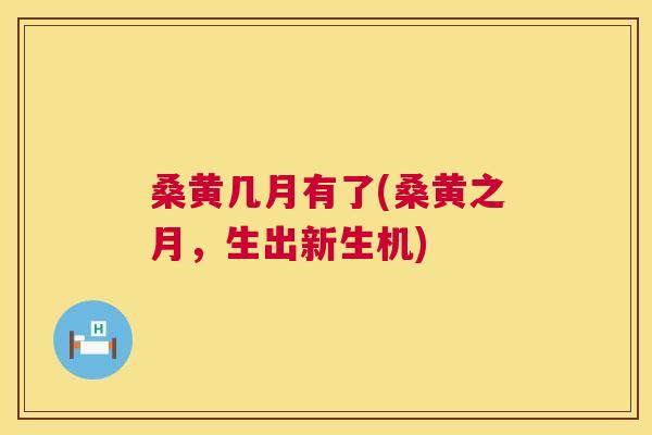 桑黄几月有了(桑黄之月,生出新生机) 桑黄几月有了(桑黄之月,生出新生机)