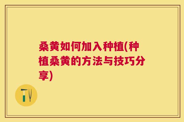 桑黄如何加入种植(种植桑黄的方法与技巧分享) 桑黄如何加入种植(种植桑黄的方法与技巧分享)