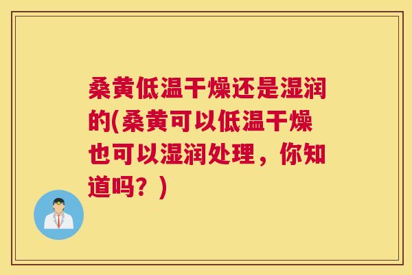 桑黄低温干燥还是湿润的(桑黄可以低温干燥也可以湿润处理,你知道吗?) 桑黄低温干燥还是湿润的(桑黄可以低温干燥也可以湿润处理,你知道吗?)
