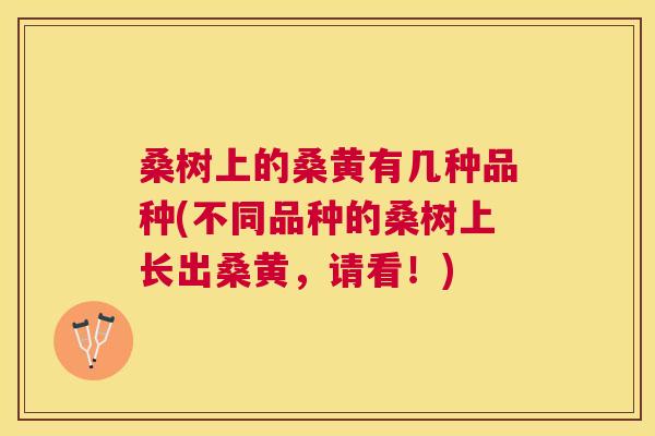 桑树上的桑黄有几种品种(不同品种的桑树上长出桑黄，请看！)