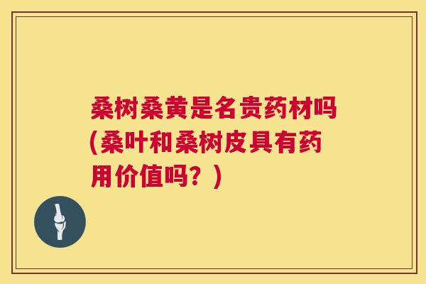 桑树桑黄是名贵药材吗(桑叶和桑树皮具有药用价值吗？)