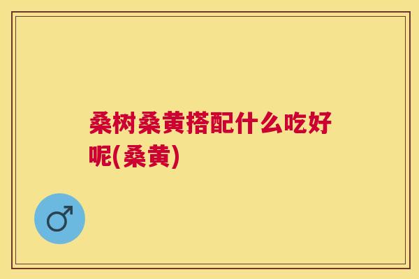 桑树桑黄搭配什么吃好呢(桑黄)