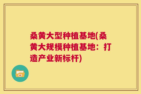 桑黄大型种植基地(桑黄大规模种植基地：打造产业新标杆)