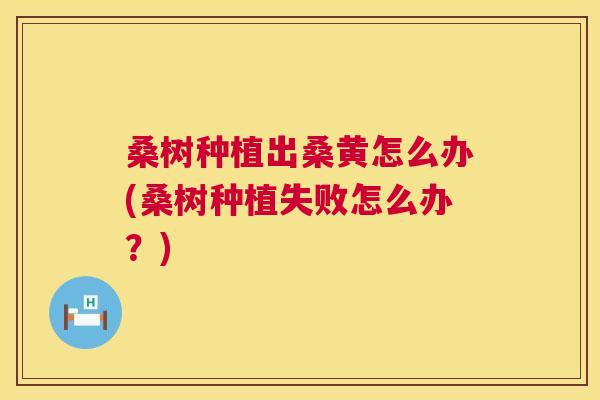 桑树种植出桑黄怎么办(桑树种植失败怎么办？)