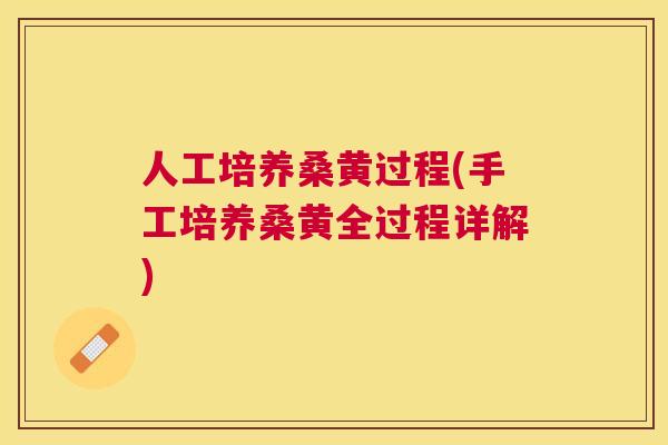 人工培养桑黄过程(手工培养桑黄全过程详解)