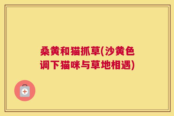 桑黄和猫抓草(沙黄色调下猫咪与草地相遇)