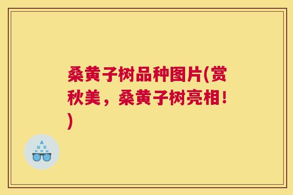 桑黄子树品种图片(赏秋美，桑黄子树亮相！)