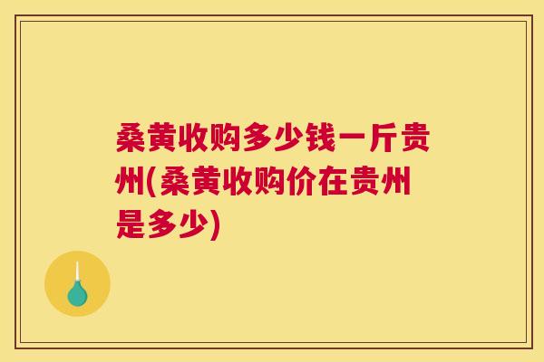 桑黄收购多少钱一斤贵州(桑黄收购价在贵州是多少)