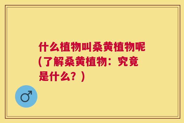 什么植物叫桑黄植物呢(了解桑黄植物：究竟是什么？)