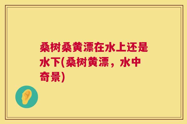 桑树桑黄漂在水上还是水下(桑树黄漂，水中奇景)