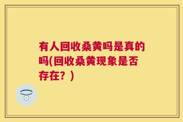 有人回收桑黄吗是真的吗(回收桑黄现象是否存在？)