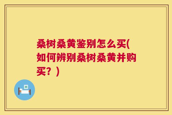 桑树桑黄鉴别怎么买(如何辨别桑树桑黄并购买？)