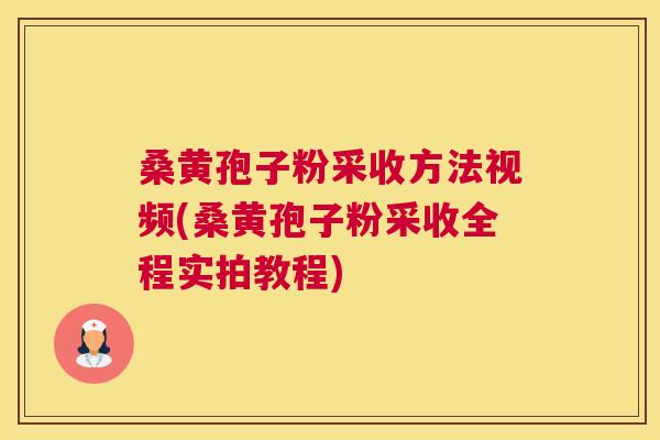 桑黄孢子粉采收方法视频(桑黄孢子粉采收全程实拍教程)