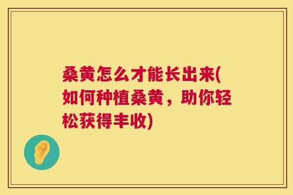 桑黄怎么才能长出来(如何种植桑黄，助你轻松获得丰收)