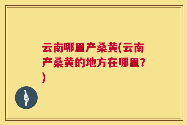 云南哪里产桑黄(云南产桑黄的地方在哪里？)