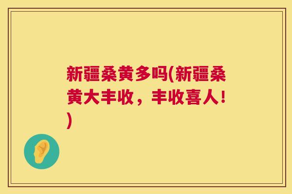 新疆桑黄多吗(新疆桑黄大丰收，丰收喜人！)