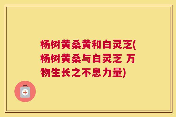 杨树黄桑黄和白灵芝(杨树黄桑与白灵芝 万物生长之不息力量)