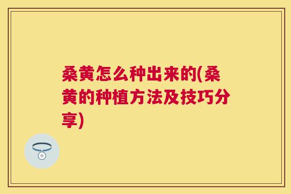 桑黄怎么种出来的(桑黄的种植方法及技巧分享)