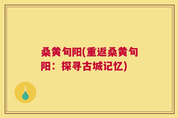 桑黄旬阳(重返桑黄旬阳：探寻古城记忆)