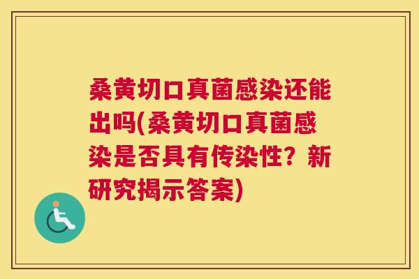 桑黄切口真菌还能出吗(桑黄切口真菌是否具有传染性？新研究揭示答案)