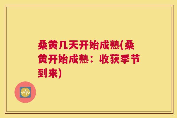 桑黄几天开始成熟(桑黄开始成熟：收获季节到来)