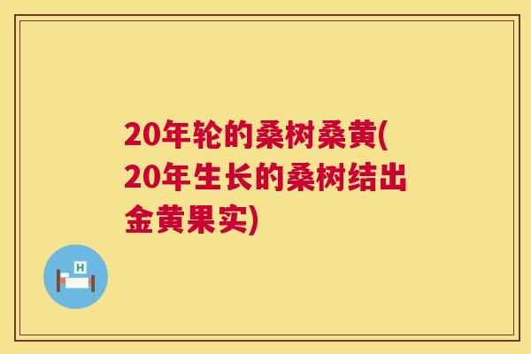 20年轮的桑树桑黄(20年生长的桑树结出金黄果实)