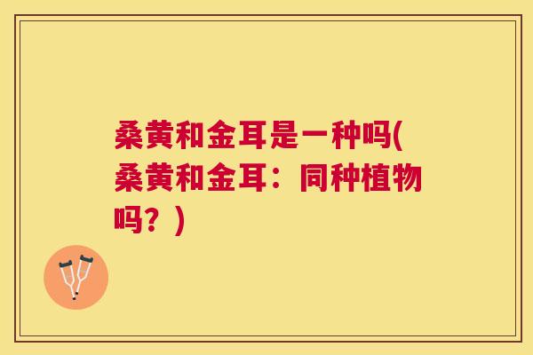 桑黄和金耳是一种吗(桑黄和金耳：同种植物吗？)