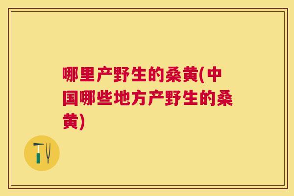 哪里产野生的桑黄(中国哪些地方产野生的桑黄)