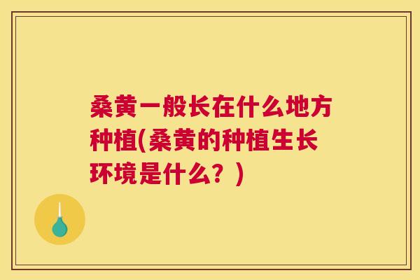 桑黄一般长在什么地方种植(桑黄的种植生长环境是什么？)