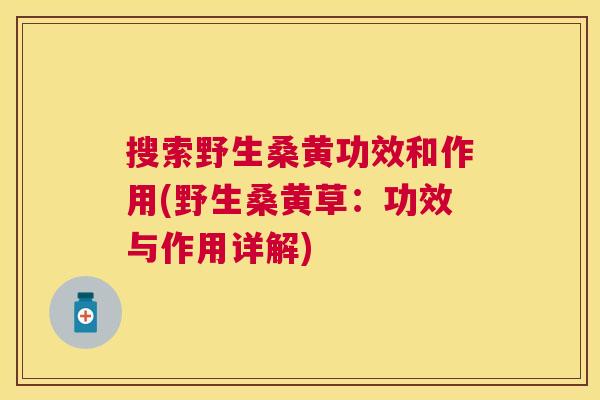 搜索野生桑黄功效和作用(野生桑黄草：功效与作用详解)