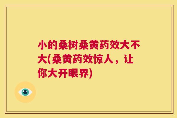 小的桑树桑黄大不大(桑黄惊人，让你大开眼界)