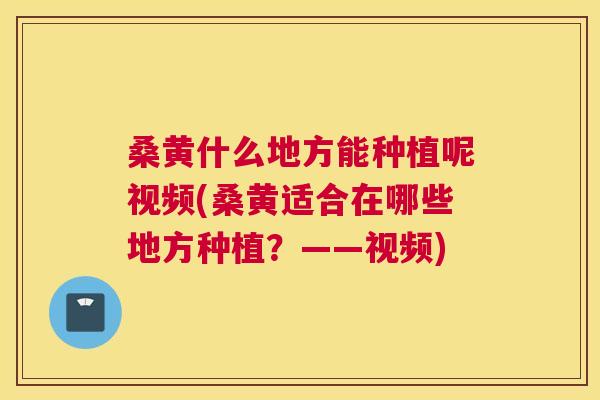桑黄什么地方能种植呢视频(桑黄适合在哪些地方种植？——视频)