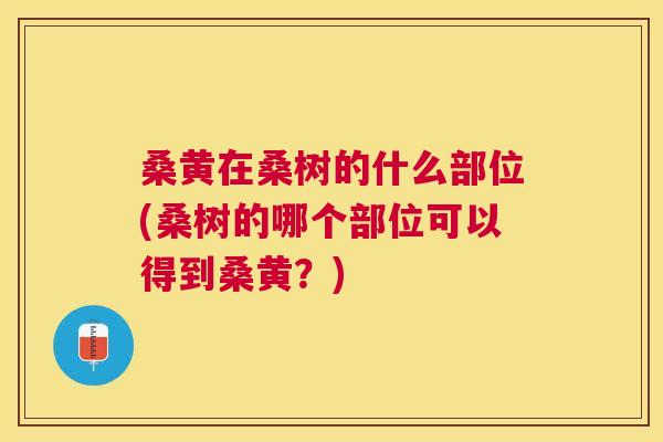 桑黄在桑树的什么部位(桑树的哪个部位可以得到桑黄？)