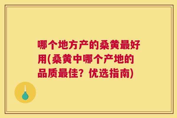 哪个地方产的桑黄好用(桑黄中哪个产地的品质佳？优选指南)