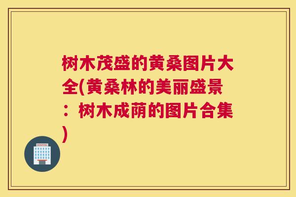 树木茂盛的黄桑图片大全(黄桑林的美丽盛景：树木成荫的图片合集)