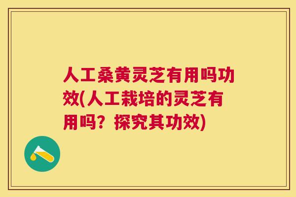 人工桑黄灵芝有用吗功效(人工栽培的灵芝有用吗？探究其功效)