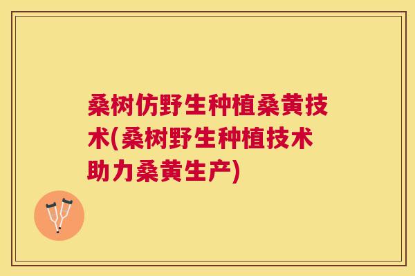 桑树仿野生种植桑黄技术(桑树野生种植技术助力桑黄生产)