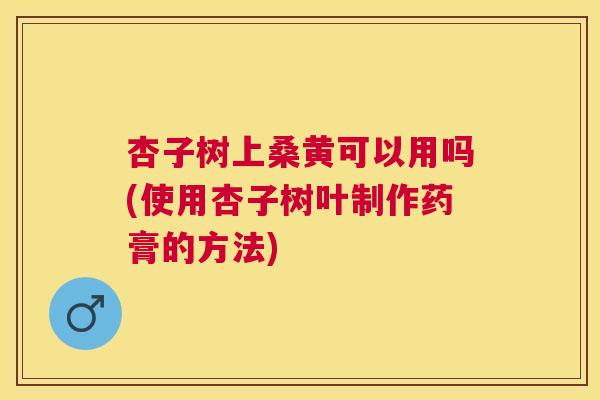 杏子树上桑黄可以用吗(使用杏子树叶制作药膏的方法)