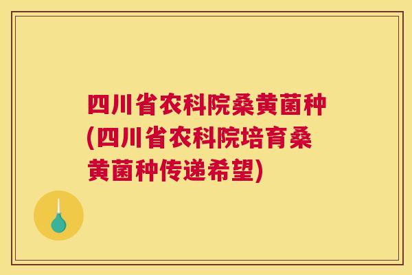 四川省农科院桑黄菌种(四川省农科院培育桑黄菌种传递希望)