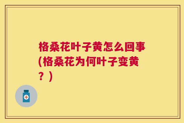 格桑花叶子黄怎么回事(格桑花为何叶子变黄？)