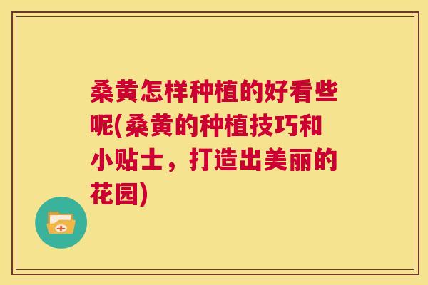 桑黄怎样种植的好看些呢(桑黄的种植技巧和小贴士，打造出美丽的花园)