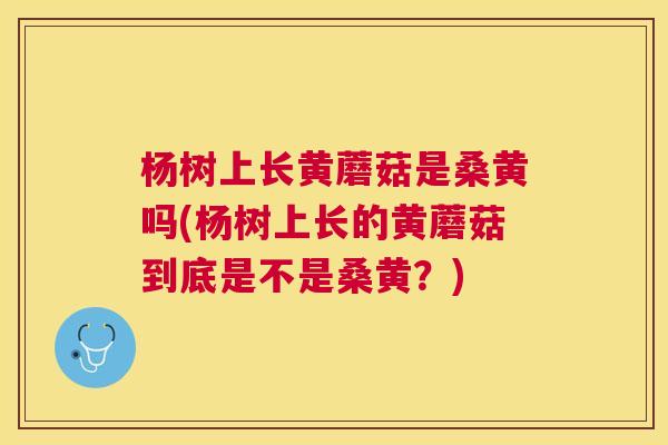 杨树上长黄蘑菇是桑黄吗(杨树上长的黄蘑菇到底是不是桑黄？)