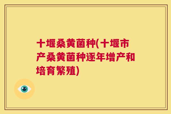 十堰桑黄菌种(十堰市产桑黄菌种逐年增产和培育繁殖)