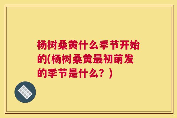 杨树桑黄什么季节开始的(杨树桑黄初萌发的季节是什么？)