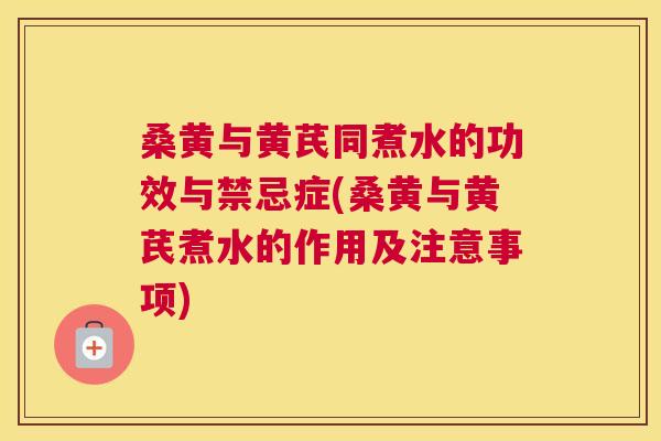 桑黄与黄芪同煮水的功效与禁忌症(桑黄与黄芪煮水的作用及注意事项)
