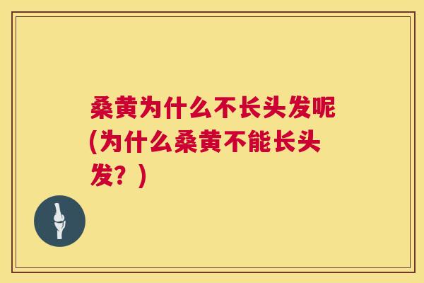 桑黄为什么不长头发呢(为什么桑黄不能长头发？)