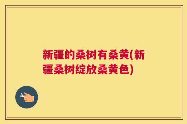 新疆的桑树有桑黄(新疆桑树绽放桑黄色)